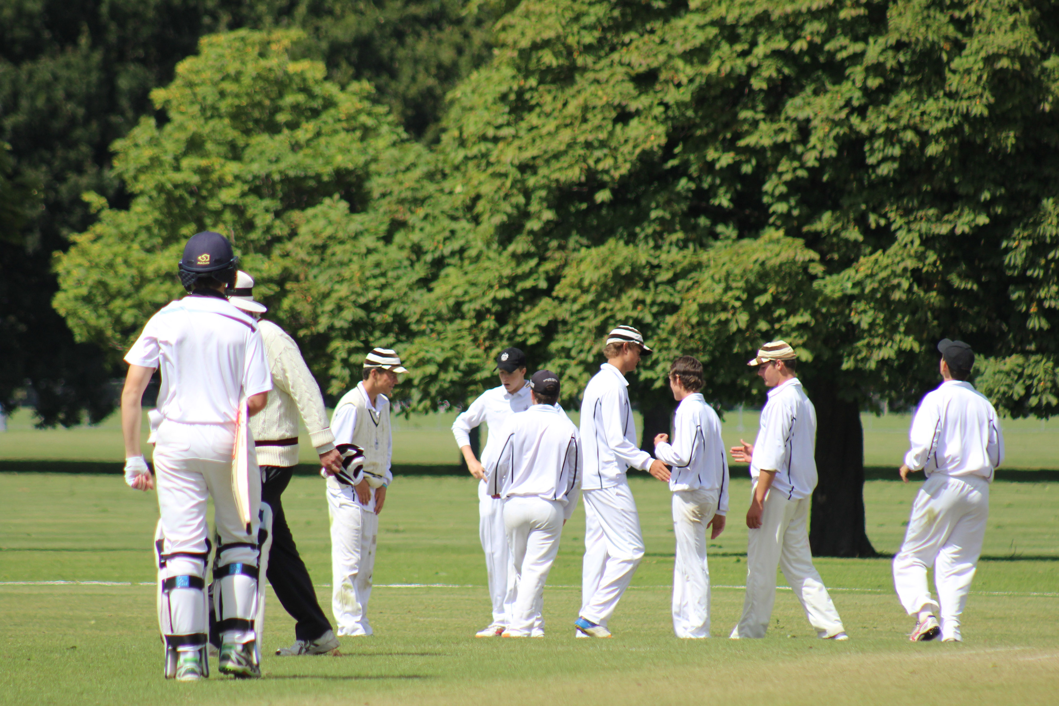 Trans Tasman Cricket Festival 2019 1