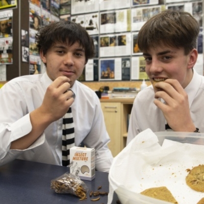 Edible Insects 2
