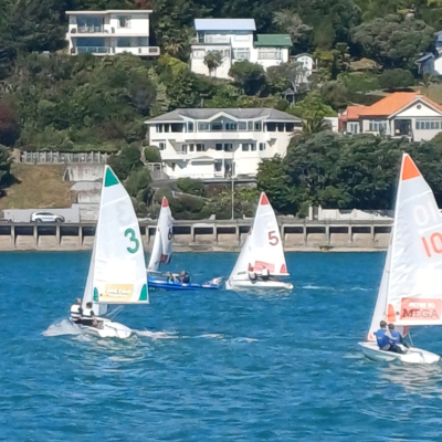 2026 01 top of the south