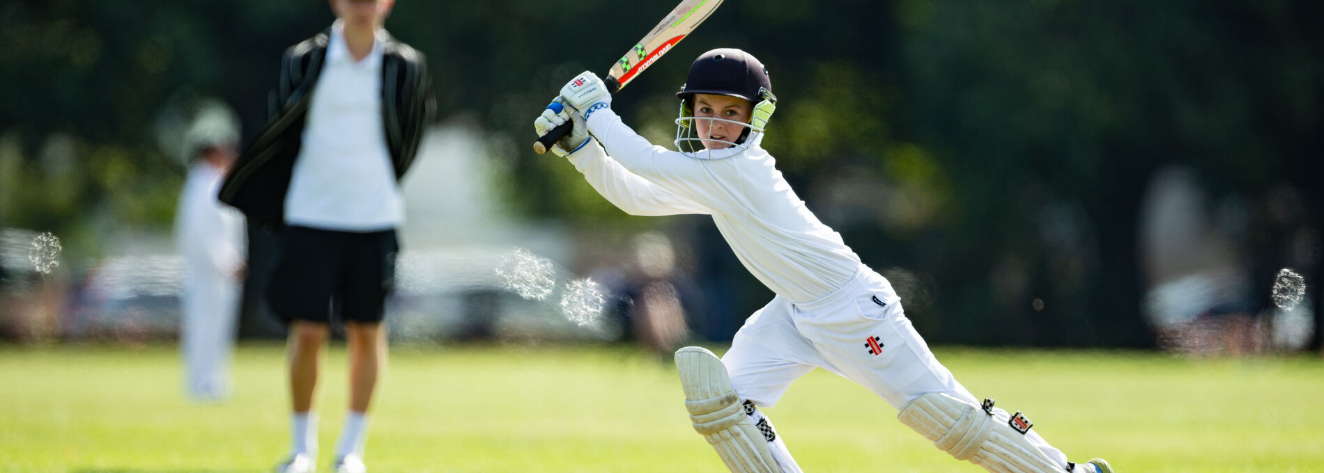 Cricket Christ's College